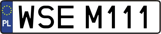 WSEM111