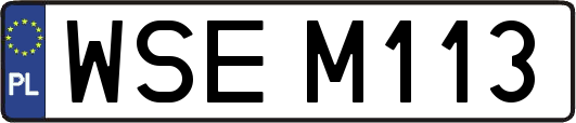 WSEM113