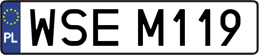 WSEM119