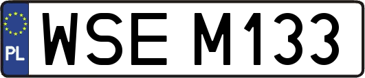 WSEM133