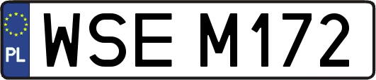 WSEM172