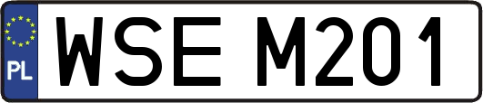 WSEM201
