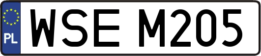 WSEM205