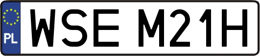 WSEM21H