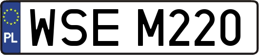 WSEM220