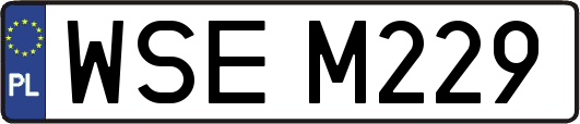 WSEM229