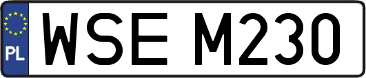 WSEM230