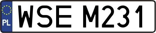 WSEM231
