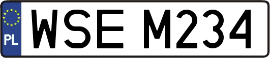 WSEM234