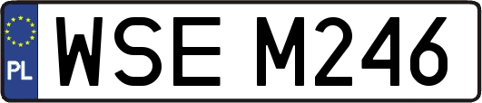 WSEM246