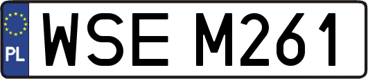 WSEM261