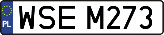 WSEM273