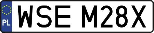 WSEM28X