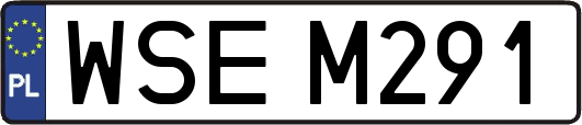 WSEM291