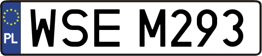 WSEM293