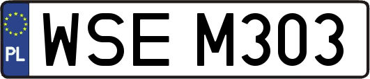 WSEM303