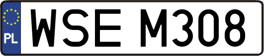 WSEM308