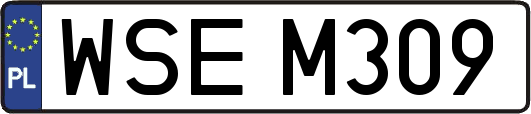 WSEM309