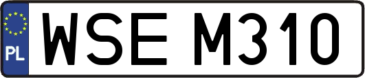 WSEM310