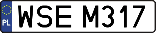 WSEM317