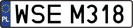 WSEM318