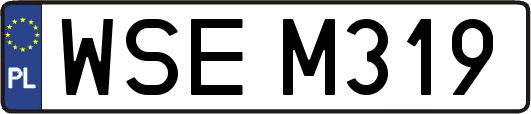 WSEM319