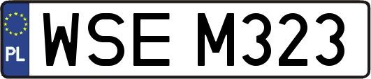 WSEM323