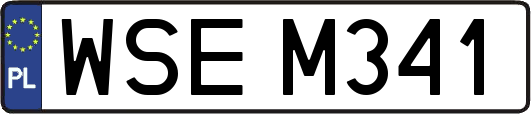 WSEM341