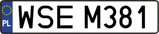 WSEM381
