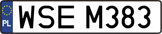 WSEM383