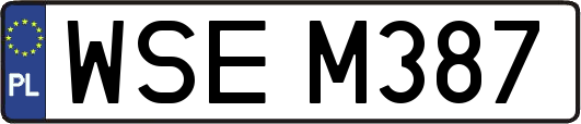WSEM387