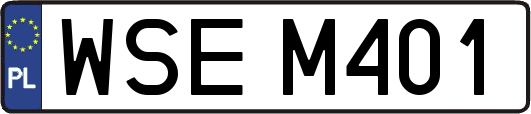 WSEM401