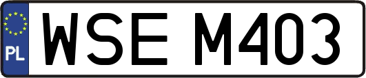 WSEM403