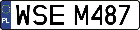 WSEM487