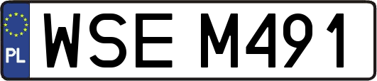 WSEM491