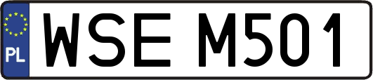WSEM501