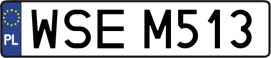 WSEM513