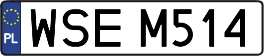 WSEM514
