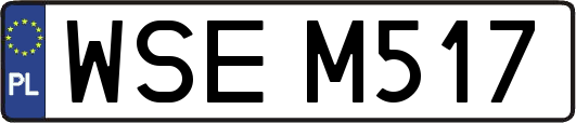 WSEM517