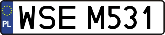 WSEM531
