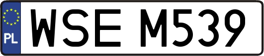 WSEM539