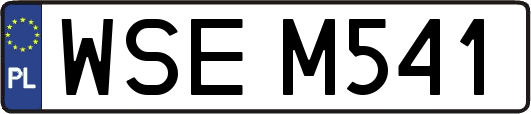 WSEM541