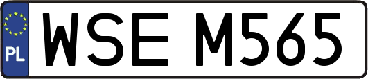 WSEM565