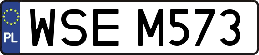 WSEM573