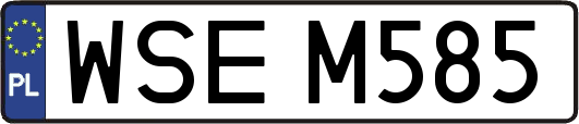 WSEM585