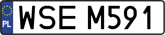 WSEM591