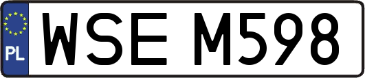 WSEM598