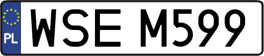 WSEM599