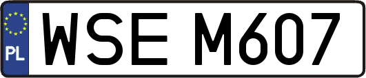 WSEM607