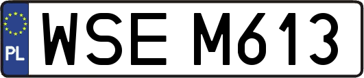 WSEM613
